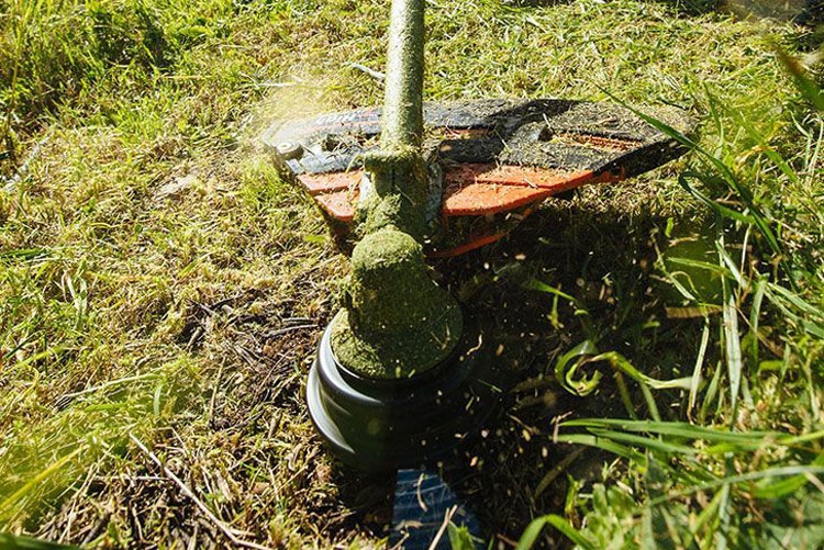 Как выбрать триммер и мотокосу для травы